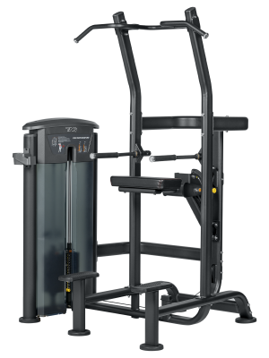 Elite Chin/Dip Assist Dual Select